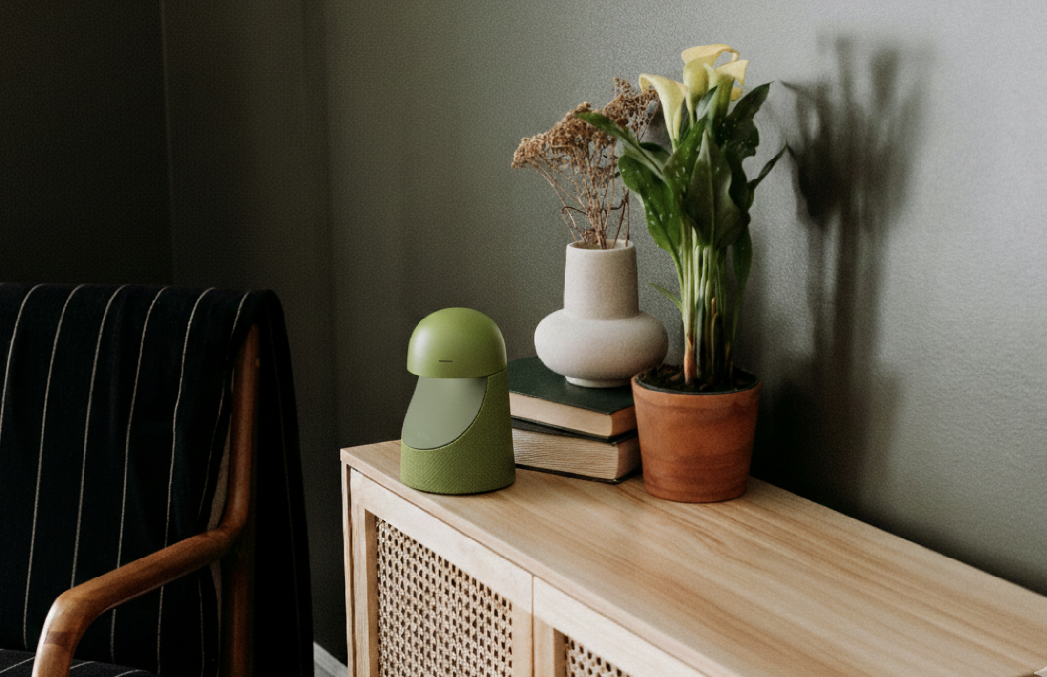 Olympia Device in Home